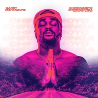 Chirimumoyo Chirimuninga - Single - Garry Mapanzure
