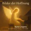Suno Lingens - Nicht weil wir gefallen wollen