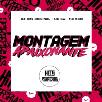 Montagem Apaixonante - Single - DJ OZS ORIGINAL, MC GW & MC Saci