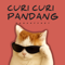 Juan Reza - CURI CURI PANDANG (Remix)