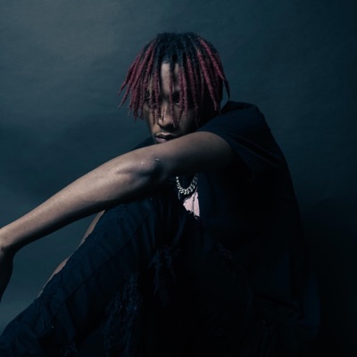 GeekGettinFried - Single
