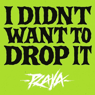 I DIDNT WANT TO DROP IT