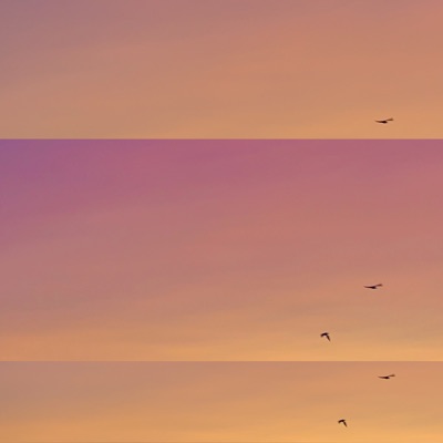 pieces (sax instrumental) - Single