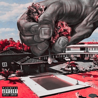 Cannabis (feat. Aleo Beats) - Single