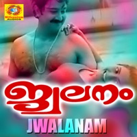 Jwalanam (Original Motion Picture Soundtrack) - Single - Johnson & Thomas Parannoor