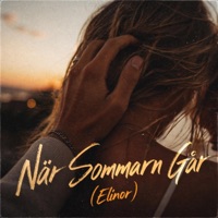 När Sommarn Går (Elinor) - Single - Tim Damerau