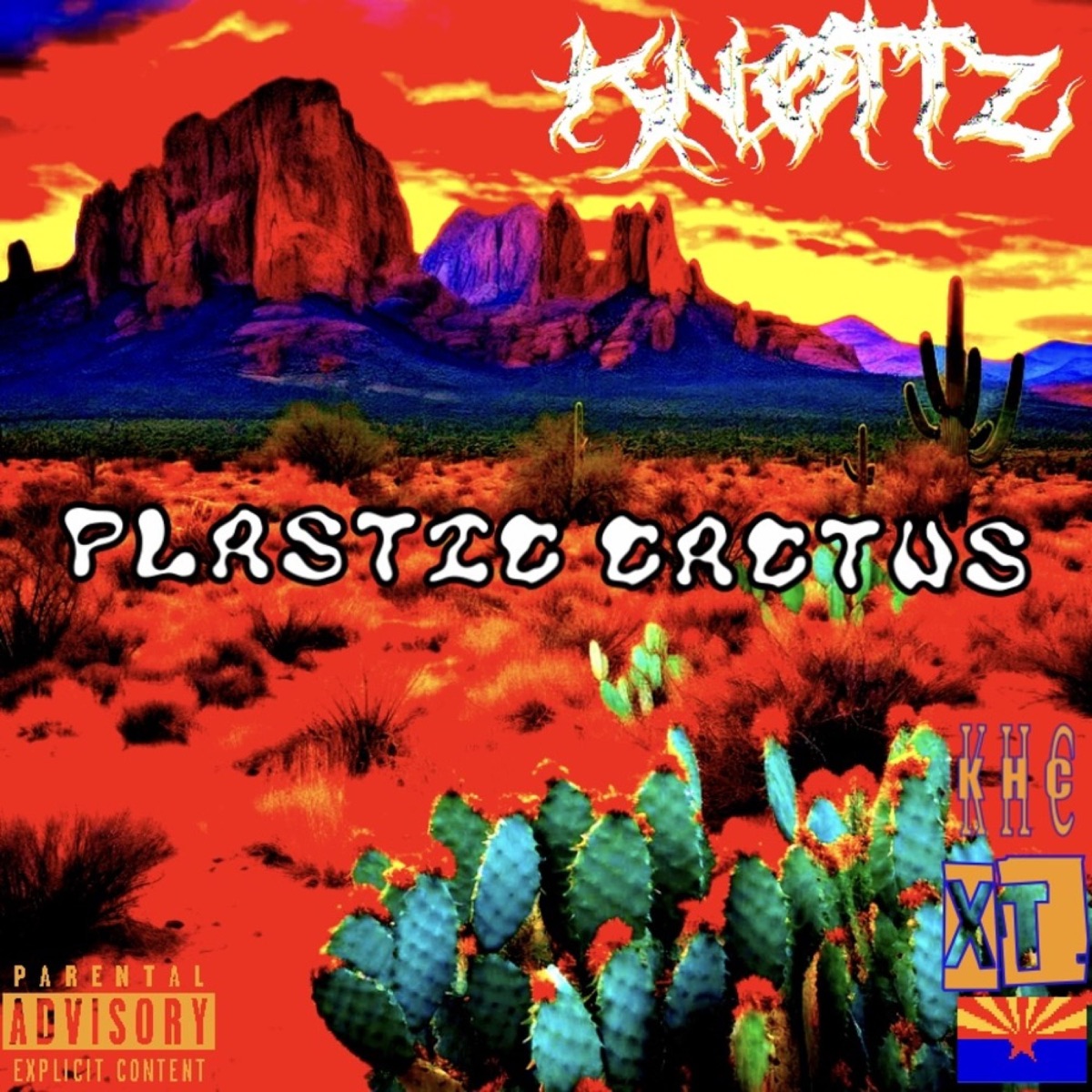 PLASTiC CACTUS cover art