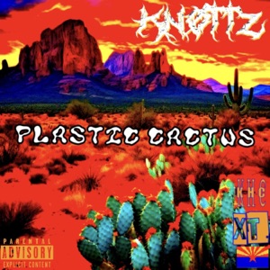 PLASTiC CACTUS