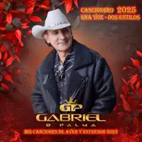 Sabor a Caña — Gabriel D' Palma