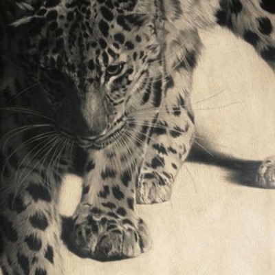 Took A Left - Single