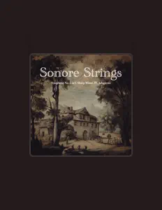 Sonore Stringsを聴いたり、ミュージックビデオを鑑賞したり、経歴やツアー日程などを確認したりしましょう！