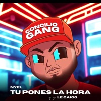 TU PONES LA HORA Y YO LE CAIGO (PARTY MIX) - EP - Nyel