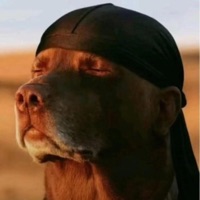 krizzygokrazy (feat. Rimagna) [Speed Up] - Single - Speed up Worldwide Mx