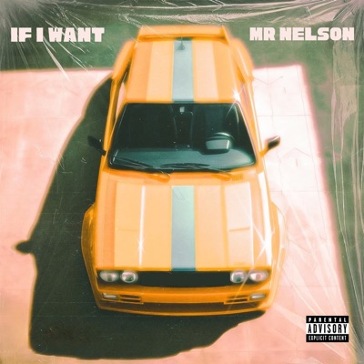 If I Want - Single