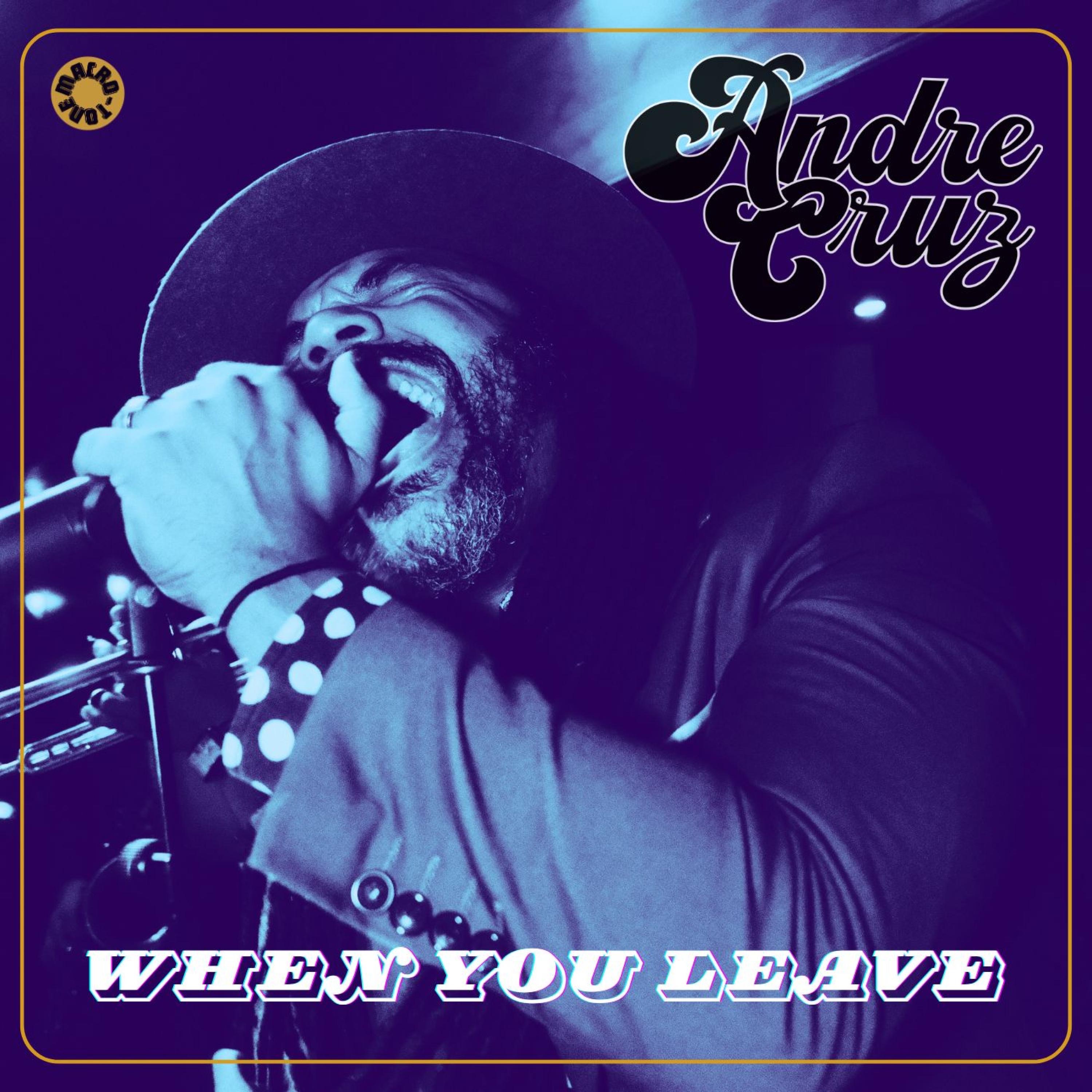 When You Leave - Single