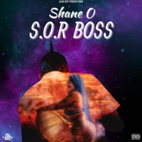 S.O.R Boss - Single - Shane O
