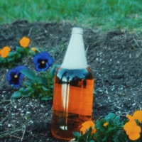 44 - Single - Sú North