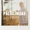 Palīglīnijas