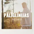 Palīglīnijas