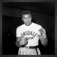 The Pitch - Single - Chef Polo