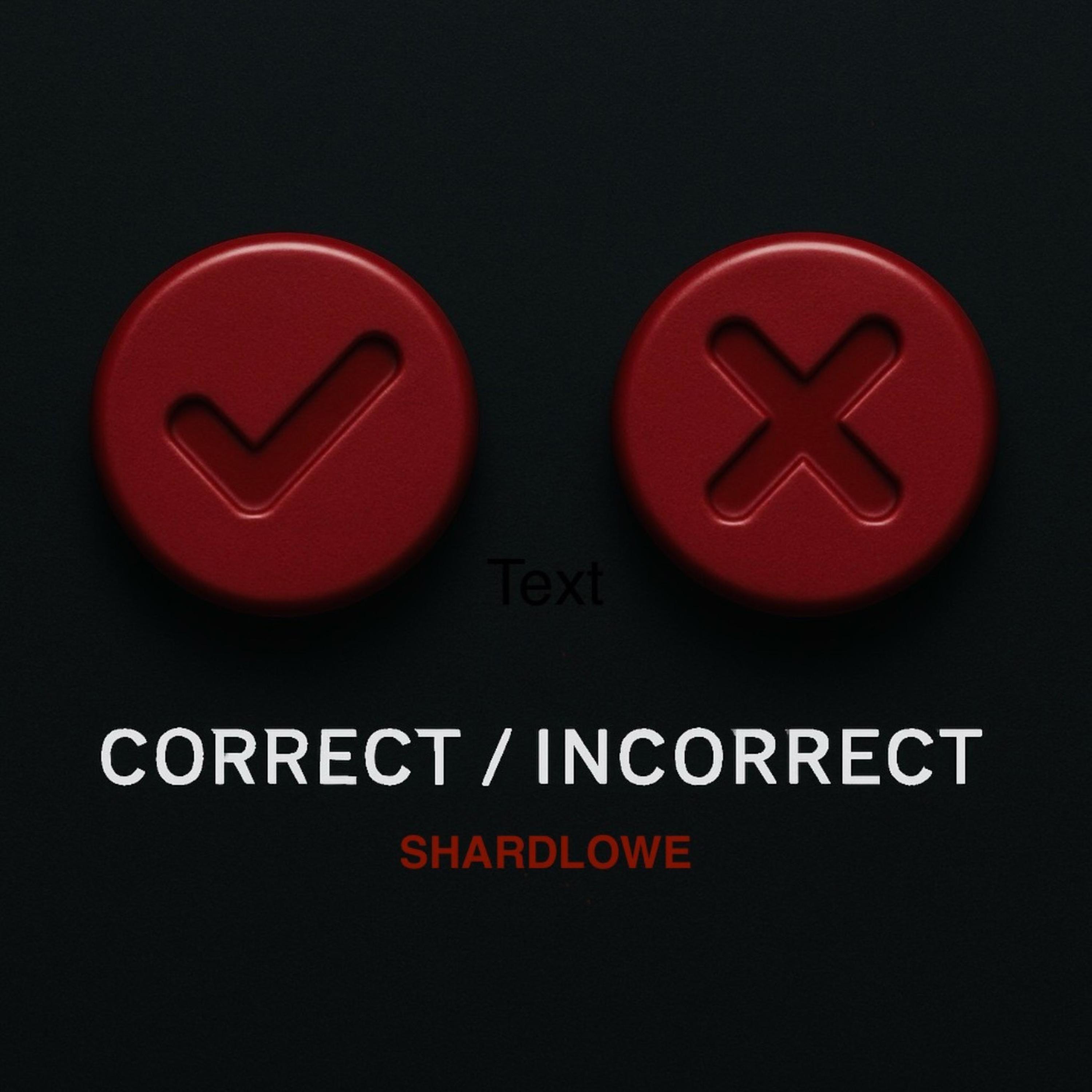 Correct / Incorrect - Single