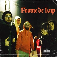 Foame de Lup - Single - FRAXU, CROW & NOMAD BDB
