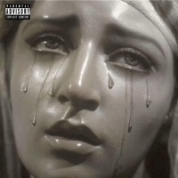 Irony - Single - MeekAintShit