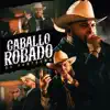 CABALLO ROBADO