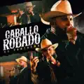 CABALLO ROBADO