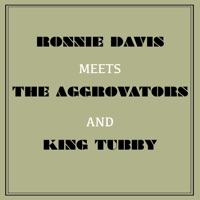 Ronnie Davis Meets the Aggrovators & King Tubby - The Aggrovators, Ronnie Davis & King Tubby