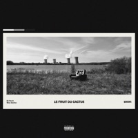 Le fruit du cactus - Dj Per-k & Nino Garino