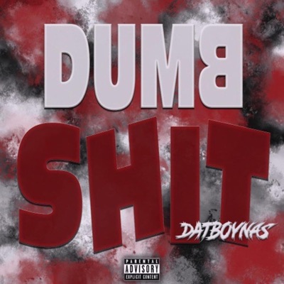 Dumb Shit - Single