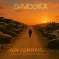 Aux commandes (feat. SLG & Naadeen) - Single - Davodka