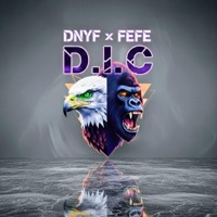 D.I.C (feat. Fefe) - Single - Dnyf
