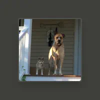 Listen to undefined, watch music videos, read bio, see tour dates & more!