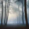 Bogdan - Whisper