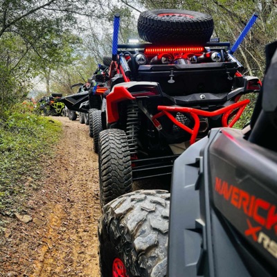 Piratas Reynosa - Single