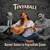Davut Sulari Feyzullah Çınar Deyişleme Doğaçlama