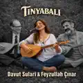 Davut Sulari Feyzullah Çınar Deyişleme Doğaçlama