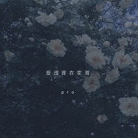 爱埋在花海 - Single - PRO