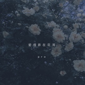爱埋在花海 (伴奏) PRO