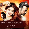 Mera Yaar Miladay (Lo-Fi) - Single