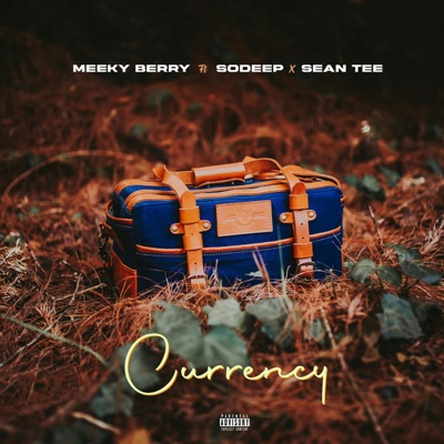 Currency (feat. Sodeep & Sean Tee) - Single