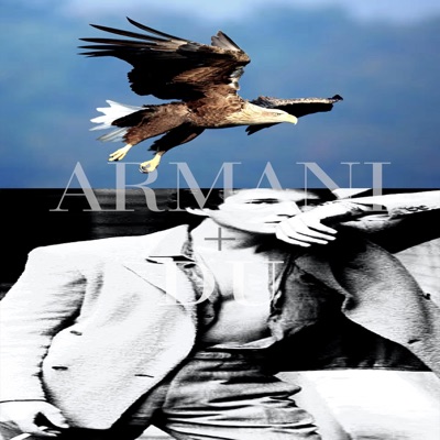 armani+du - Single
