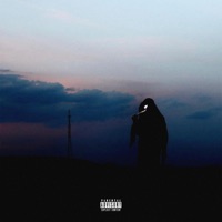 PURGE (feat. mkmh & $insNightmare) - Single - reelysoda