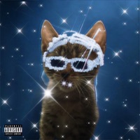 EVERYDAY HUSTLE - Single - Purc$