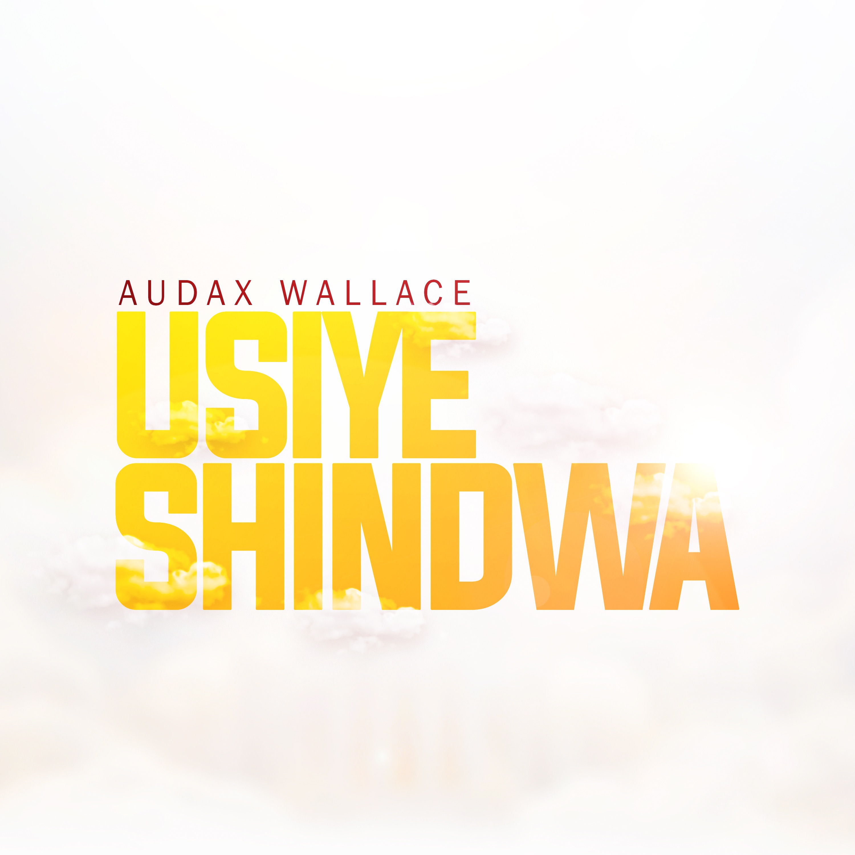 Usiyeshindwa - Audax Wallace
