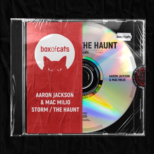 Storm / The Haunt - Single