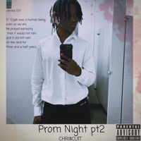 Prom Night Pt. 2 - CHRI$CUIT