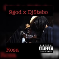 Rosa (feat. Dj$tebo) - Single - 9god